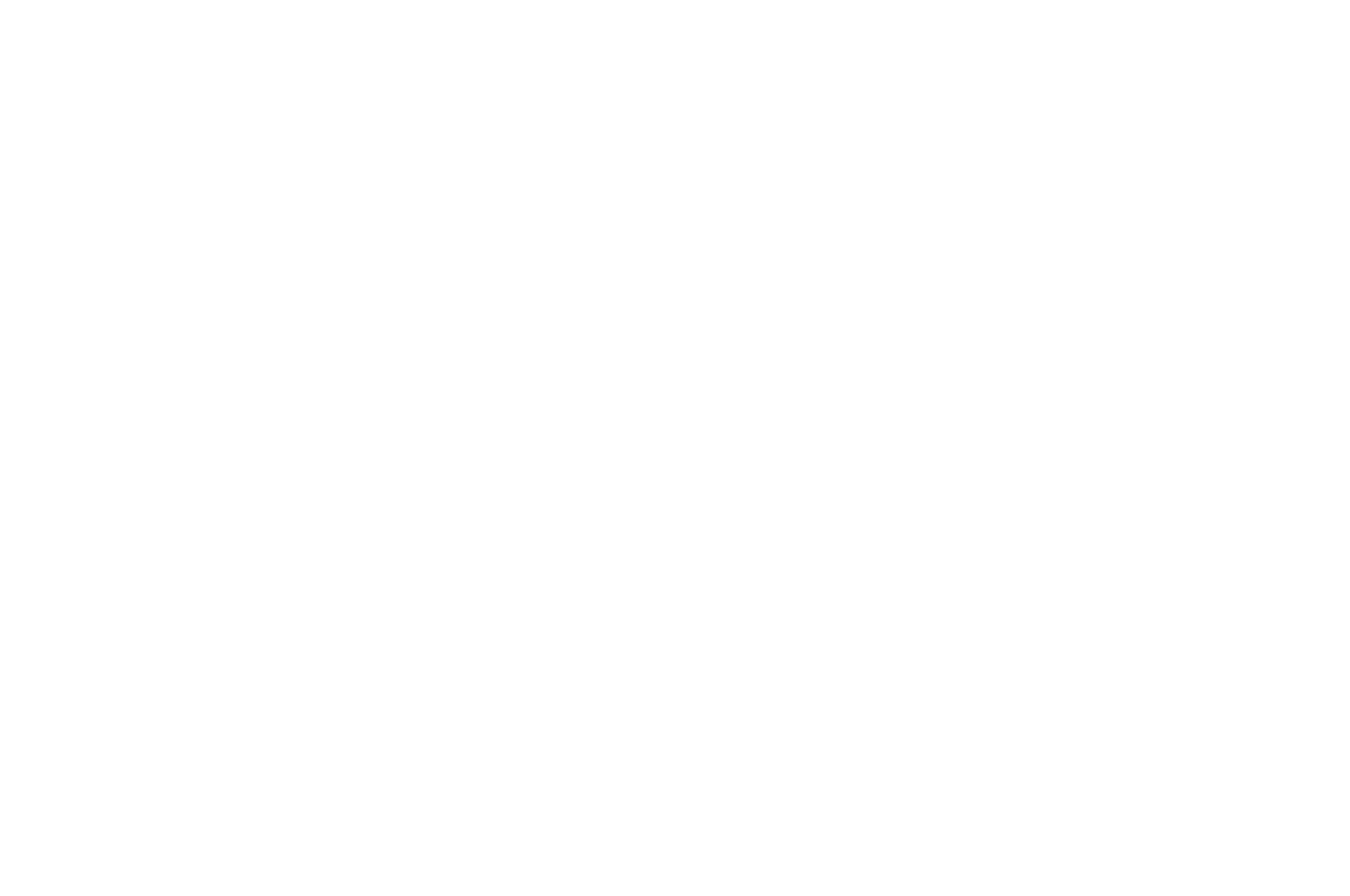 FINALIST - United States Film Festival - 2021 (2)