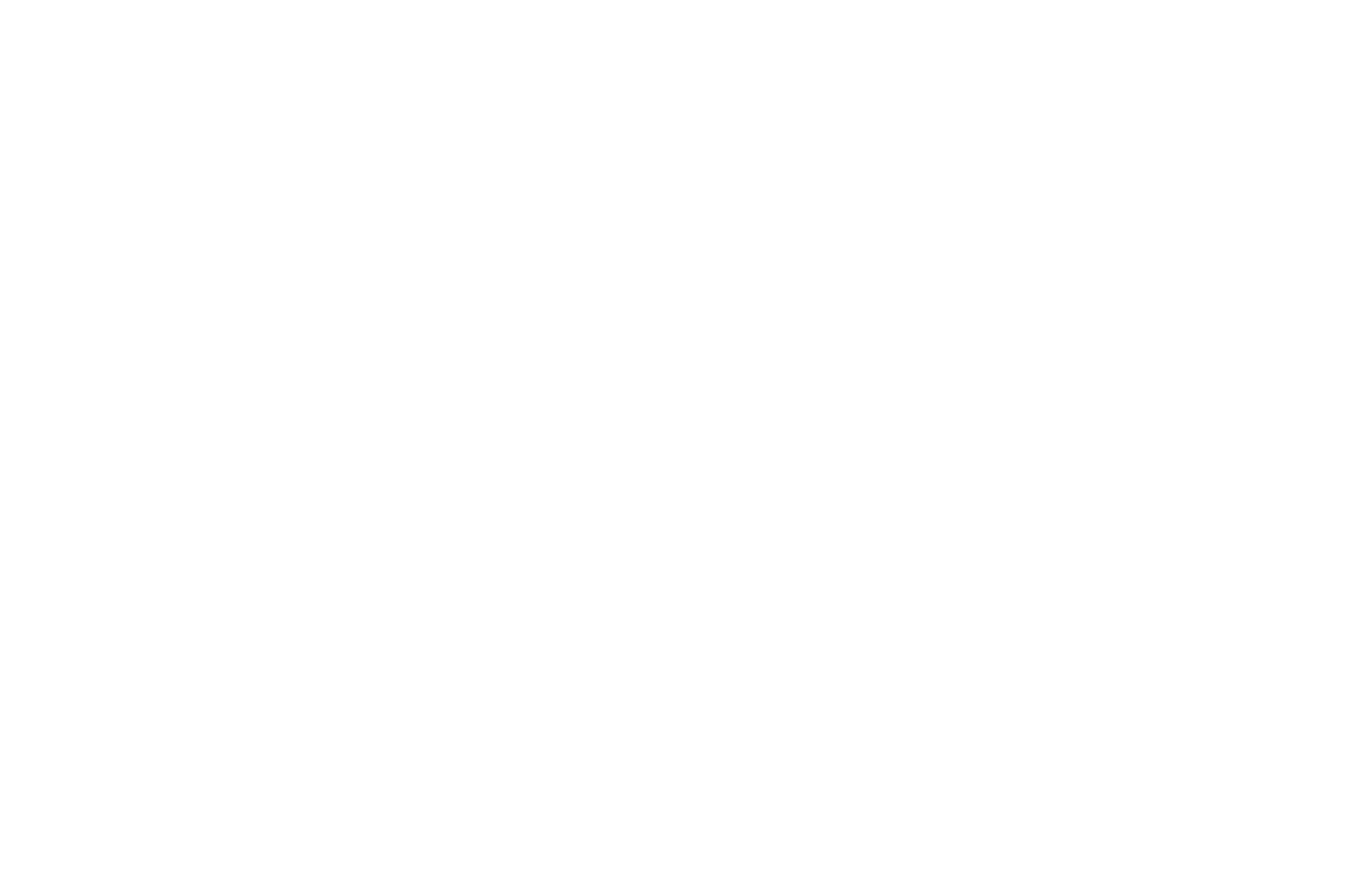 Gold Remi Winner - Best Director WorldFest-Houston International Film Festival - 2021 (1)