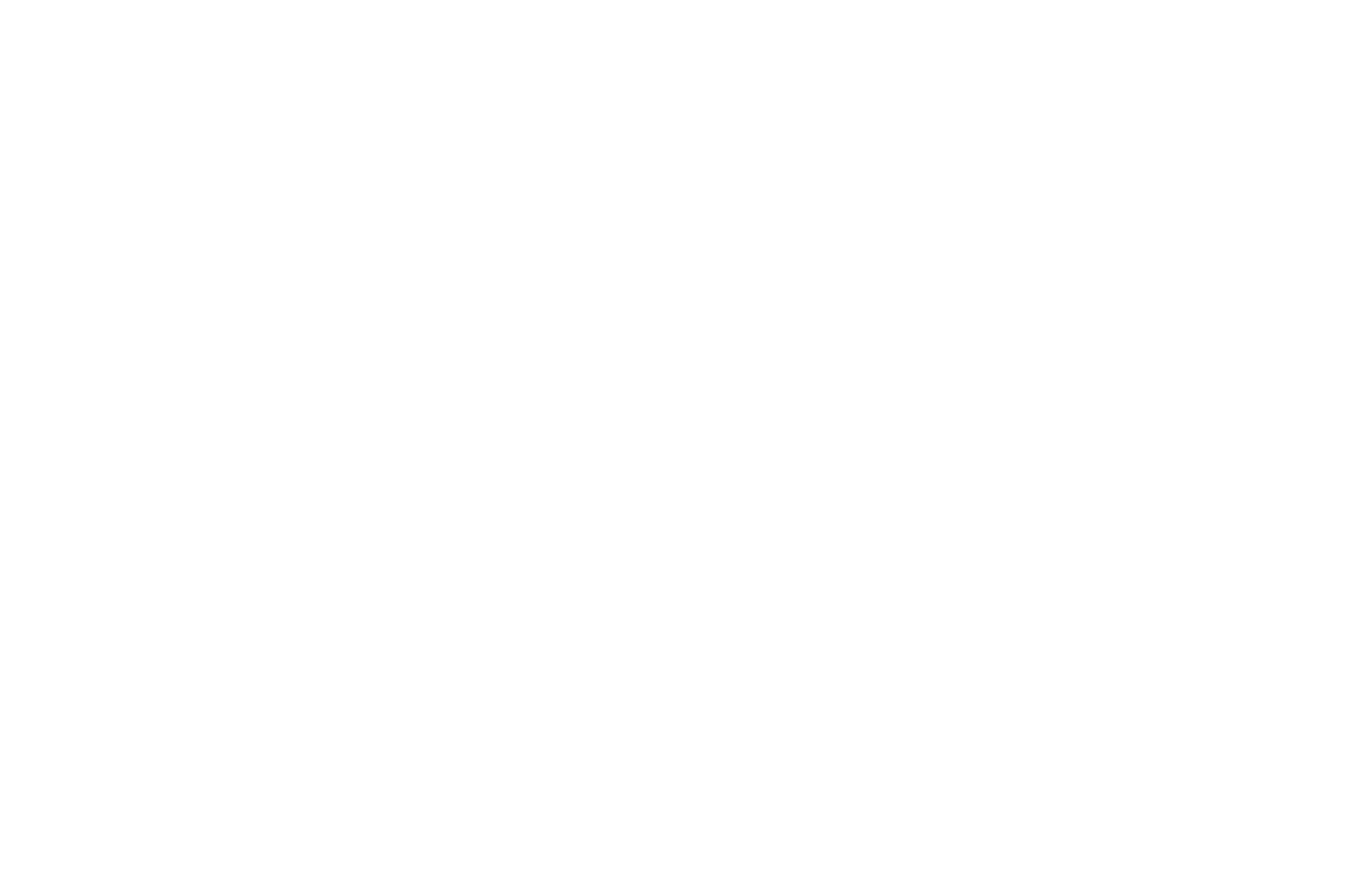 OFFICIAL SELECTION - Black Cat Picture Show - 2021 (1)