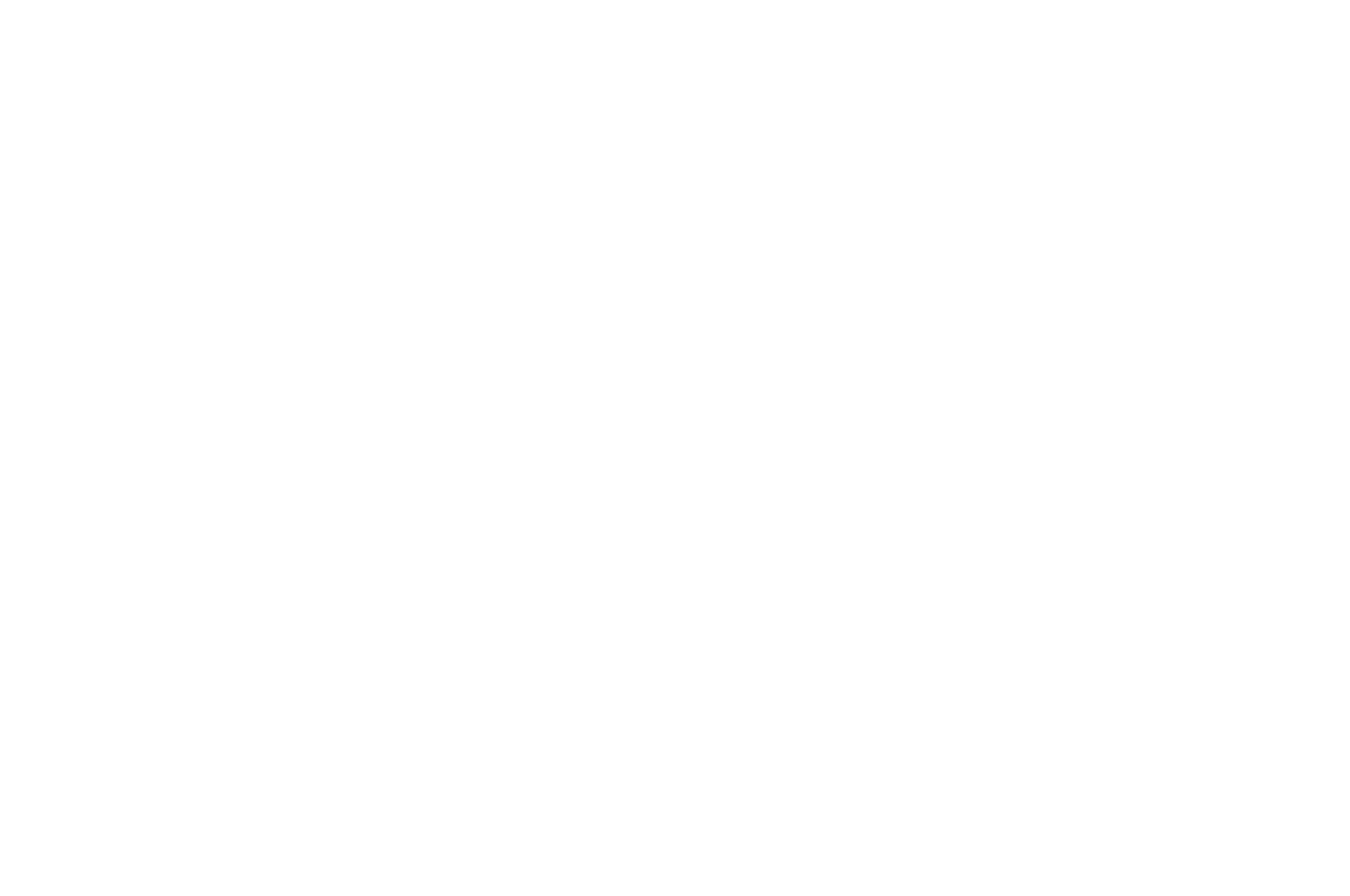 OFFICIAL SELECTION - Chicago South Asian Film Festival - 2021 (1)