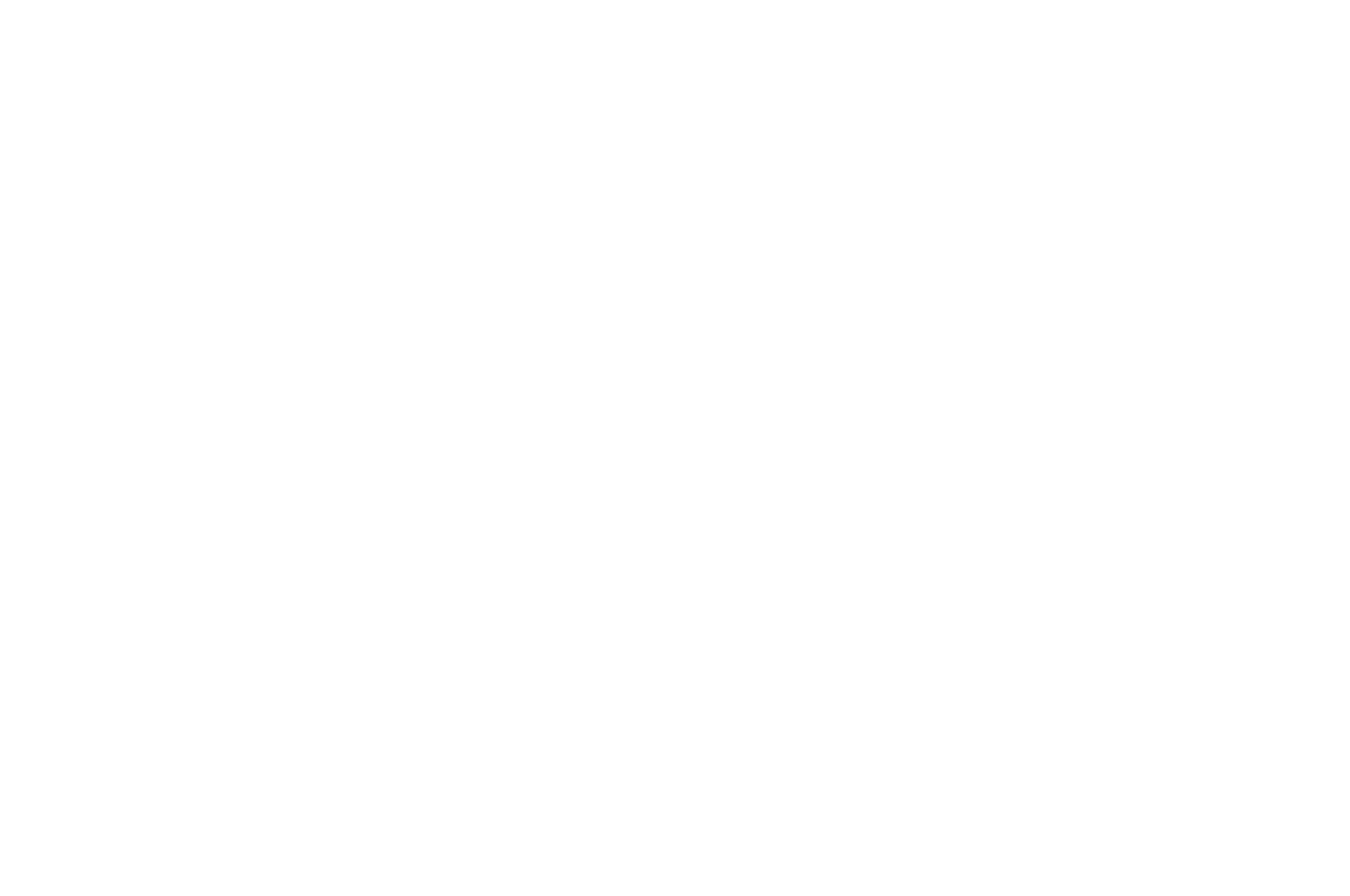 OFFICIAL SELECTION - Cinequest Film VR Festival - 2021 (7)