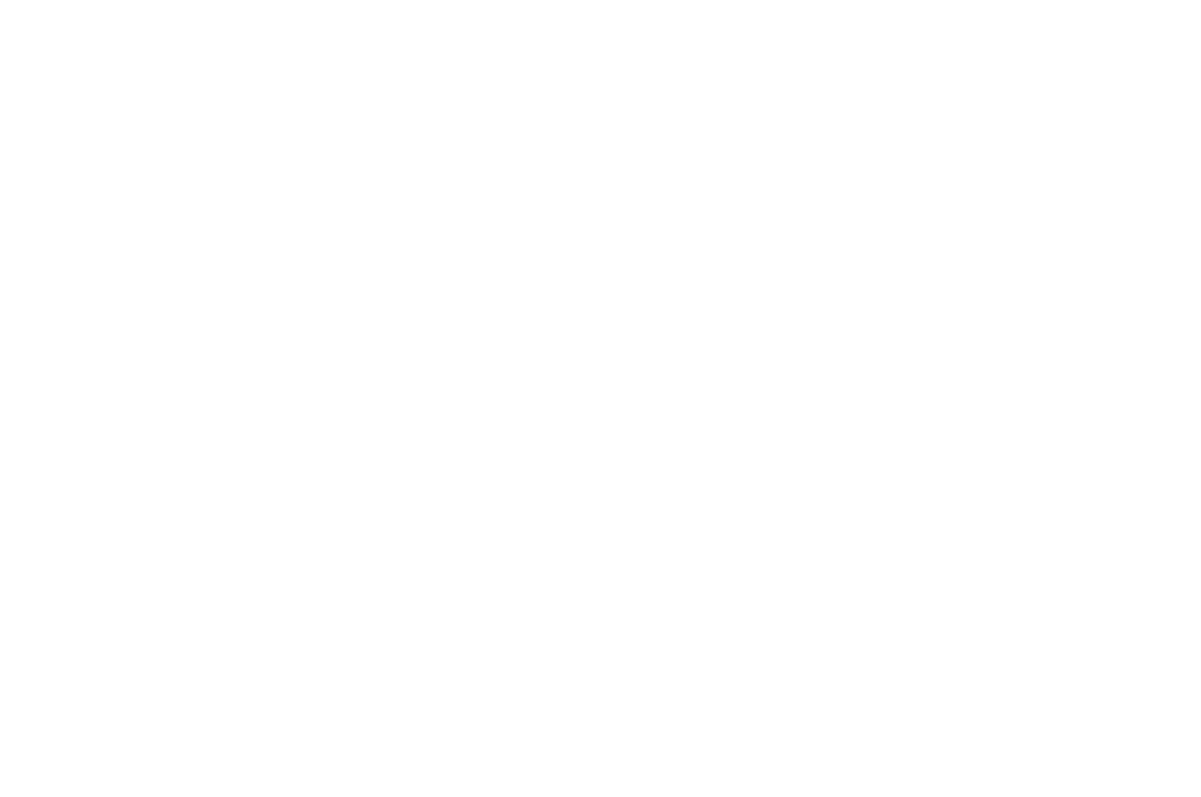 OFFICIAL SELECTION - DIRECTORS CUT INTL FILM FESTIVAL - 2020 (2)