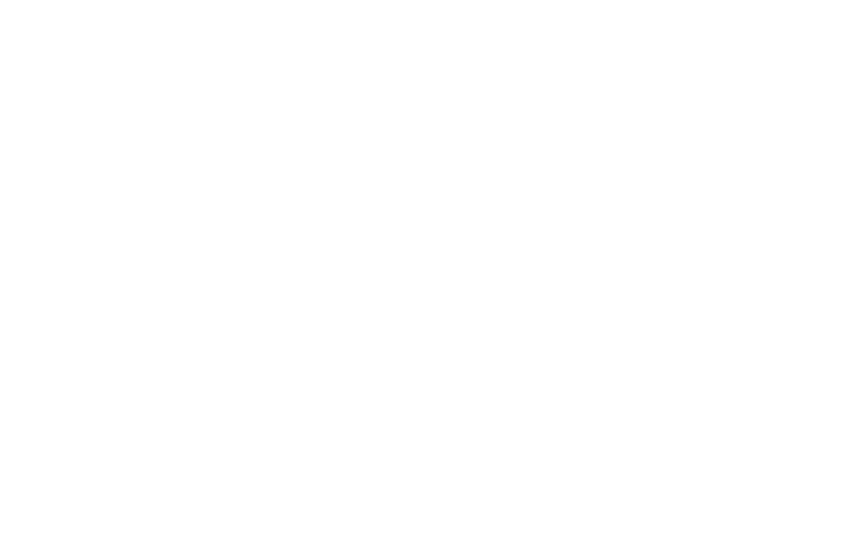 OFFICIAL SELECTION - Malibu Film Festival - 2021 (1)
