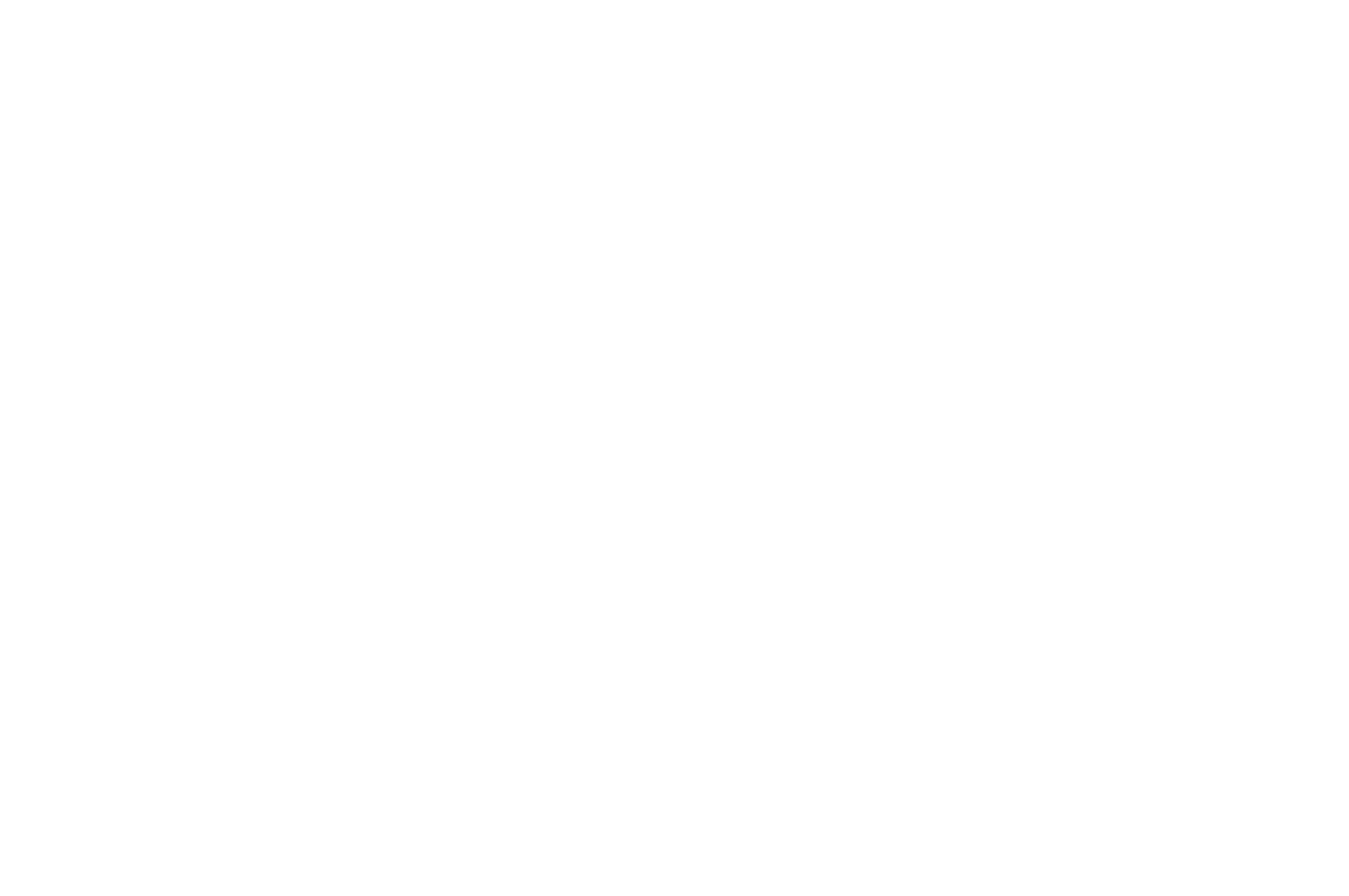 OFFICIAL SELECTION - NEW DELHI FILM FESTIVAL-NDFF International - 2021 (1) (1)