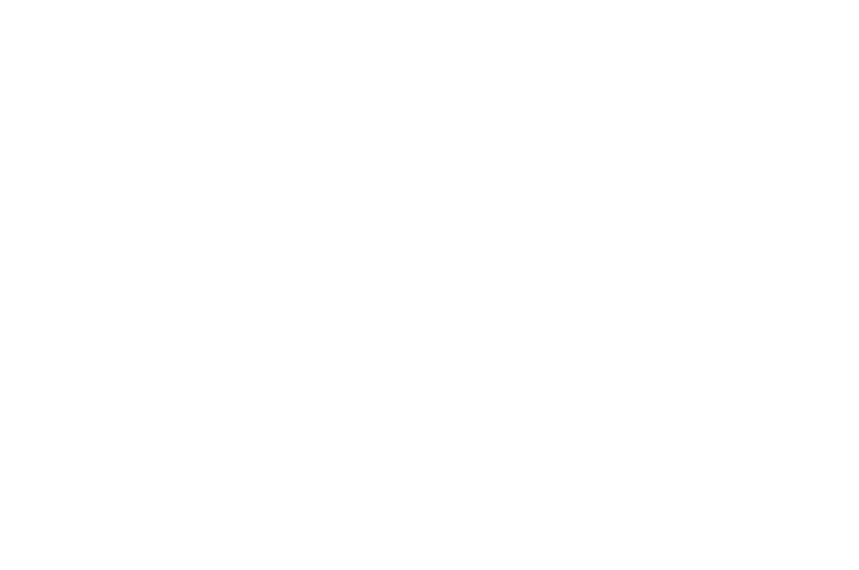 OFFICIAL SELECTION - New Jersey Indian International Film Festival NJIIFF - 2020 (2)