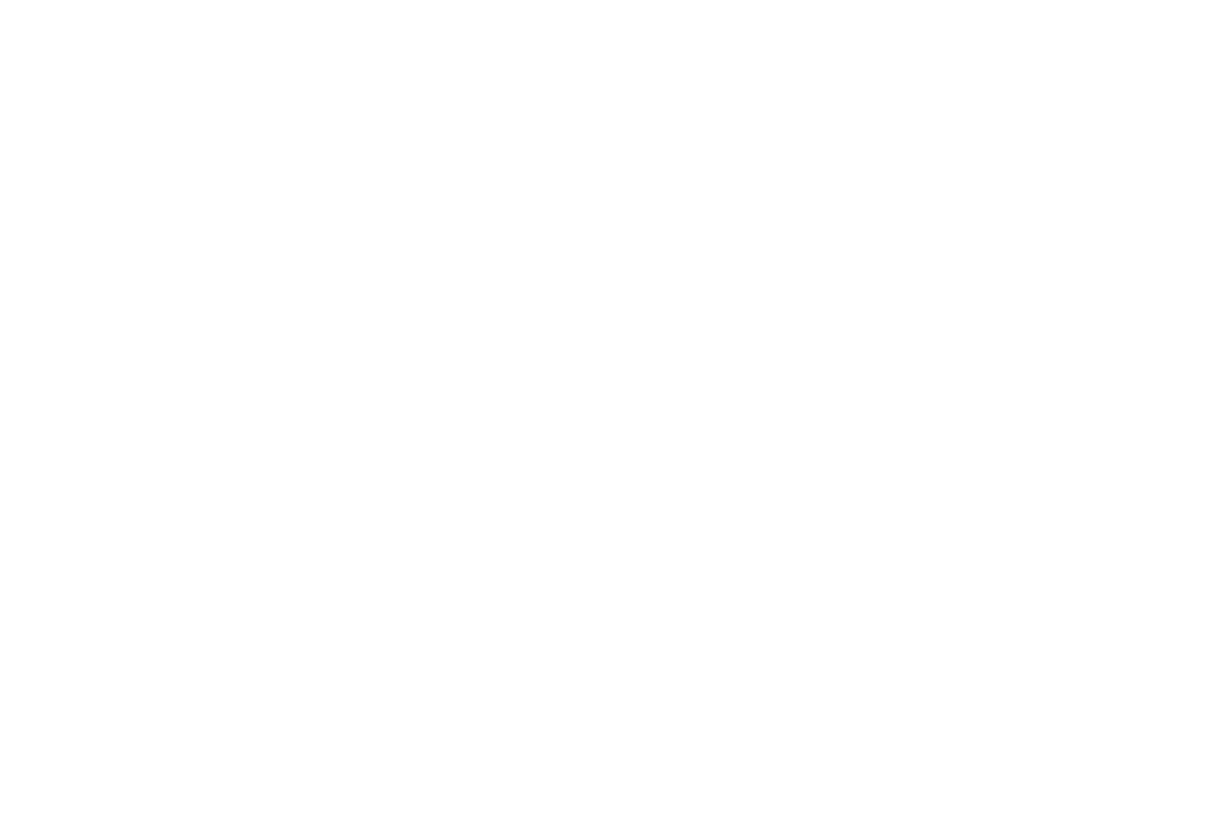 OFFICIAL SELECTION - Vision Film Festival - 2021 (1) (1)